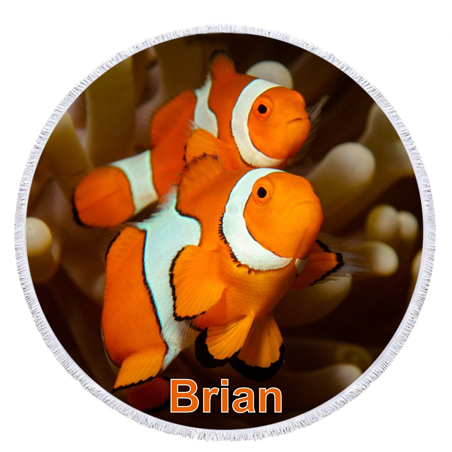 Clownfish - Customisable