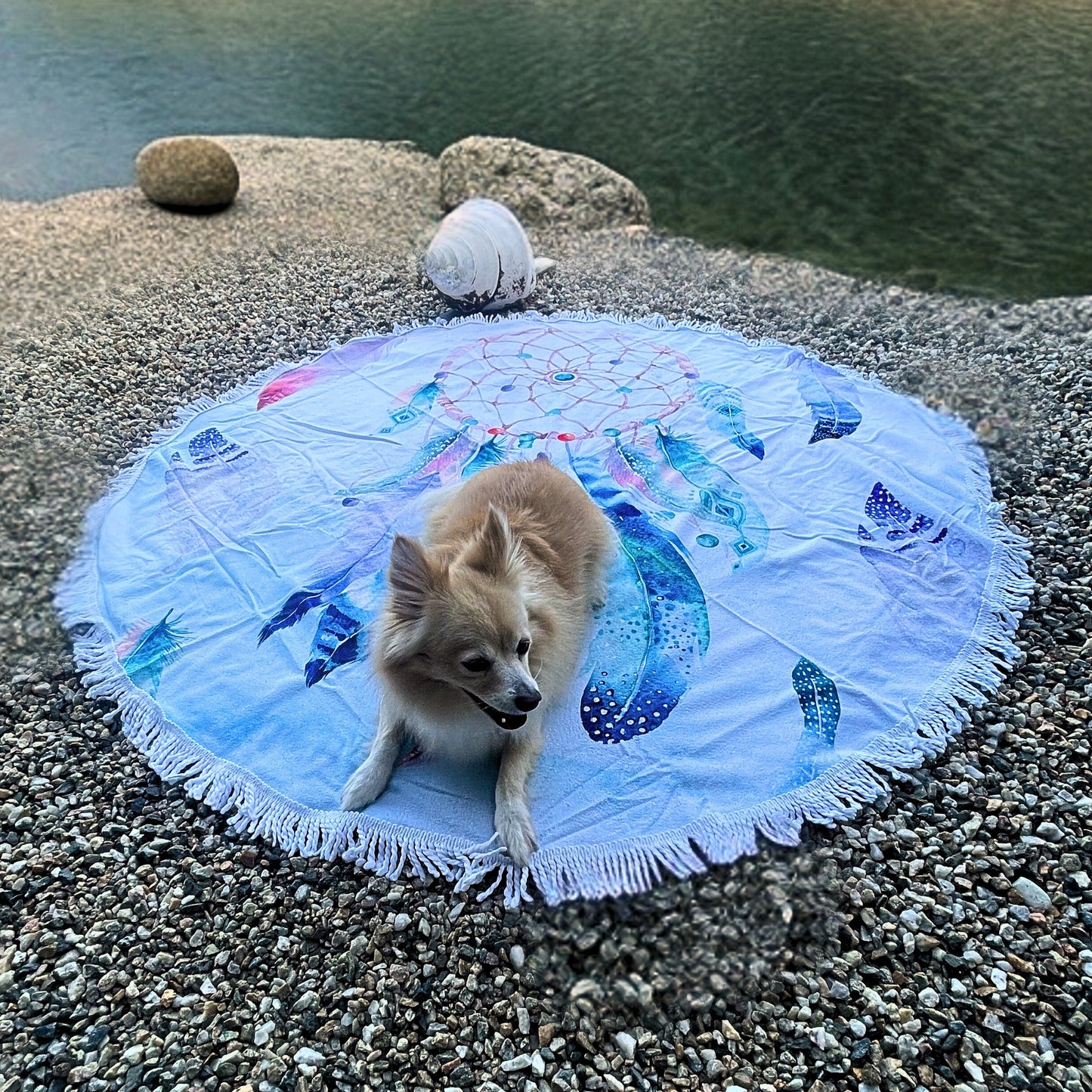 Dreamcatcher