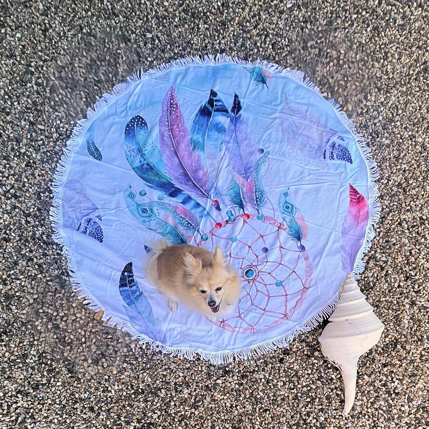 Dreamcatcher