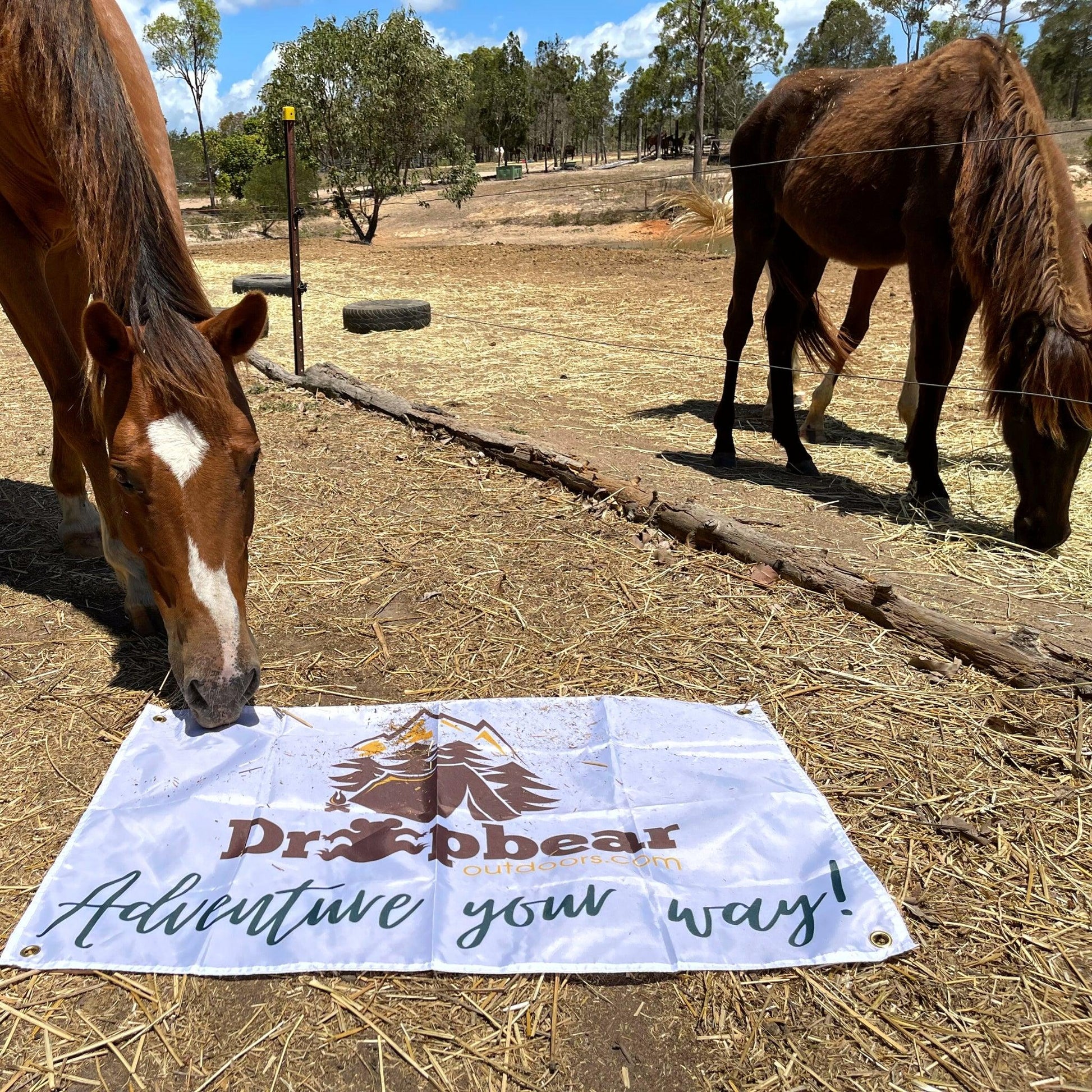 Adult Poncho Towel - Down to Earth - Dropbear Outdoors