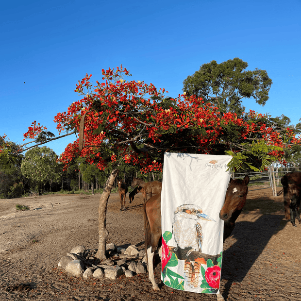 Combo Beach and Sports Towel - King of the Bush from Daisy Emily Art - Dropbear Outdoors