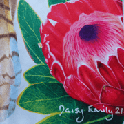 Sports & Tea Towel - King of the Bush from Daisy Emily Art - Dropbear Outdoors